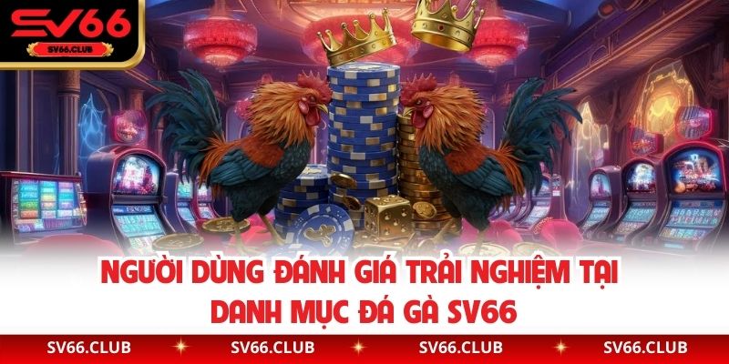 Người dùng đánh giá trải nghiệm tại danh mục đá gà SV66